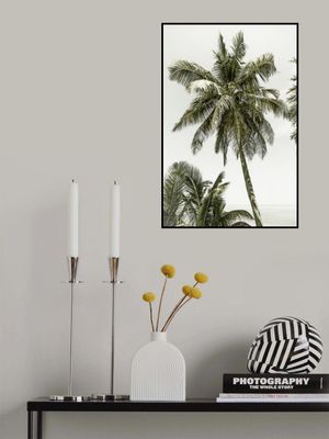 Palm Trees by the ocean | Vintage