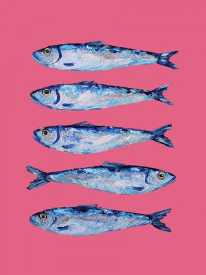 Sardines on Pink