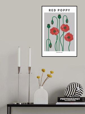 Red Poppy - National flower of Poland