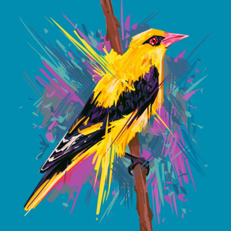 Bird Series   Golden Oriole