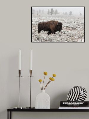 Late Fall Yellowstone