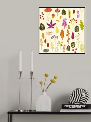 Leaves Pods Berries And Toadstools