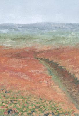 Bode coral landscape