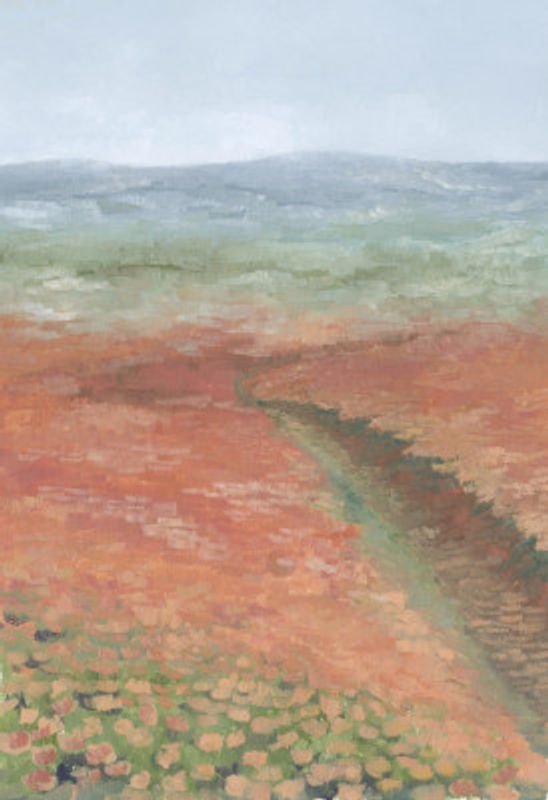 Bode coral landscape