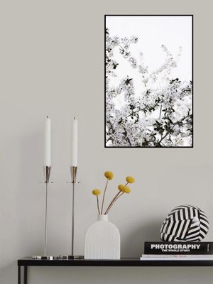 White Spring Tree 3