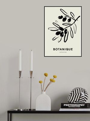 Olive Branch Elegance