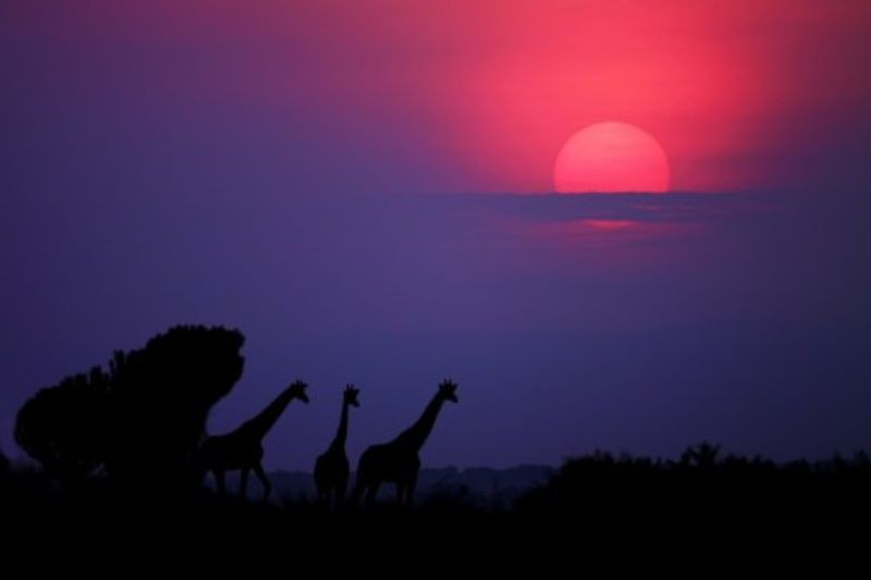Sunrise in Uganda