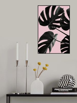 Monstera Pink No 01