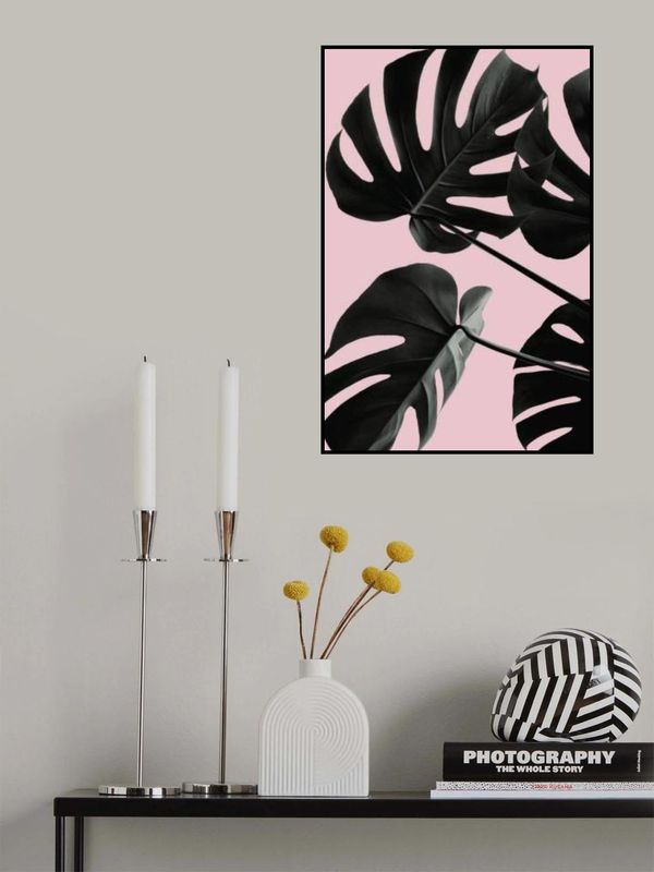 Monstera Pink No 01
