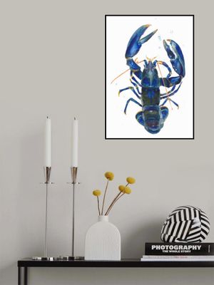 A Blue Lobster