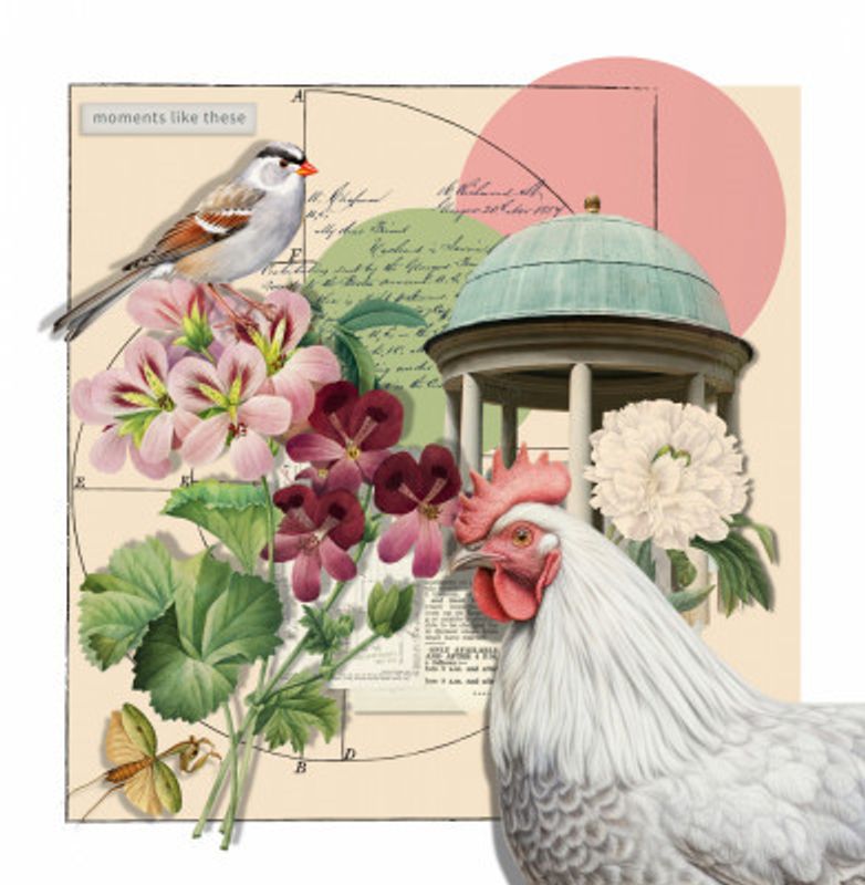 A Collage of Summers