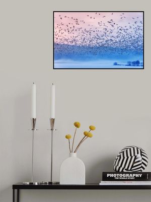 Flying in the fogging morning