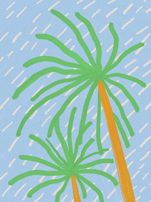 Palm in the wind