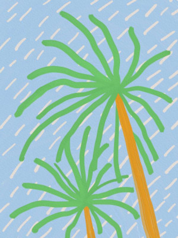 Palm in the wind