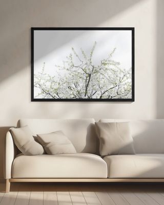 White Spring Tree 2