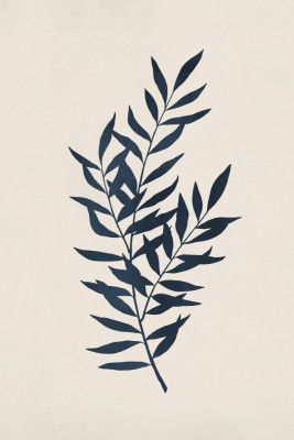 Botanical Silhouette 1