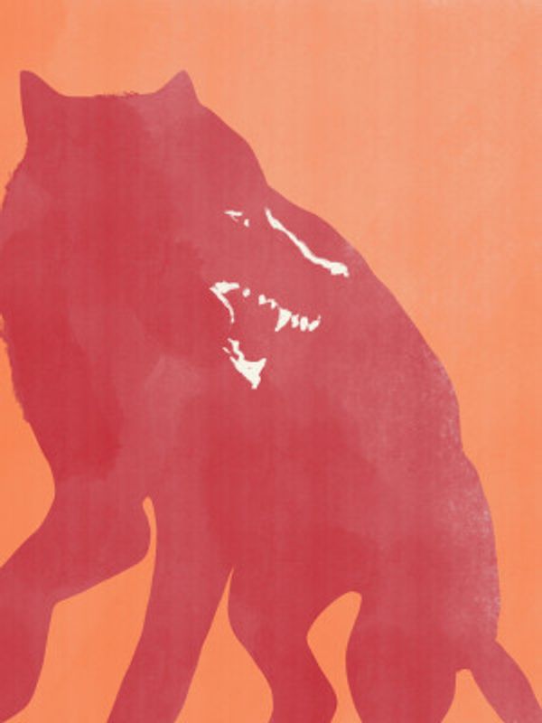 Red Silhouette of a Wolf