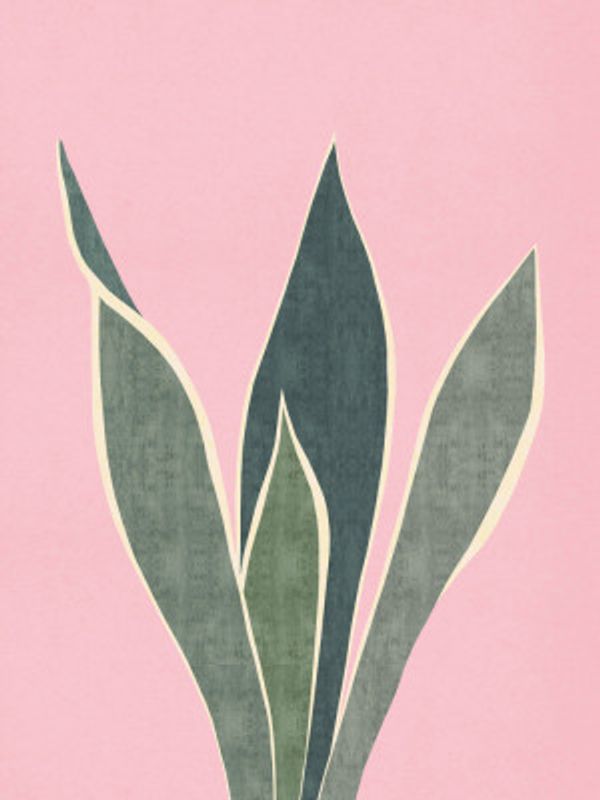 Stylized Green Leaves