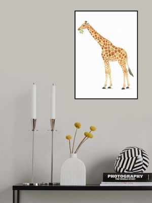 Giraffe's Snack Time