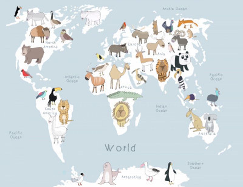 Illustrated Map of the World with Cute Animals
