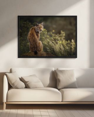 Lynx Fine Art.