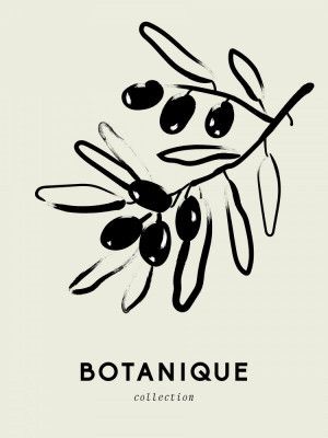 Olive Branch Elegance