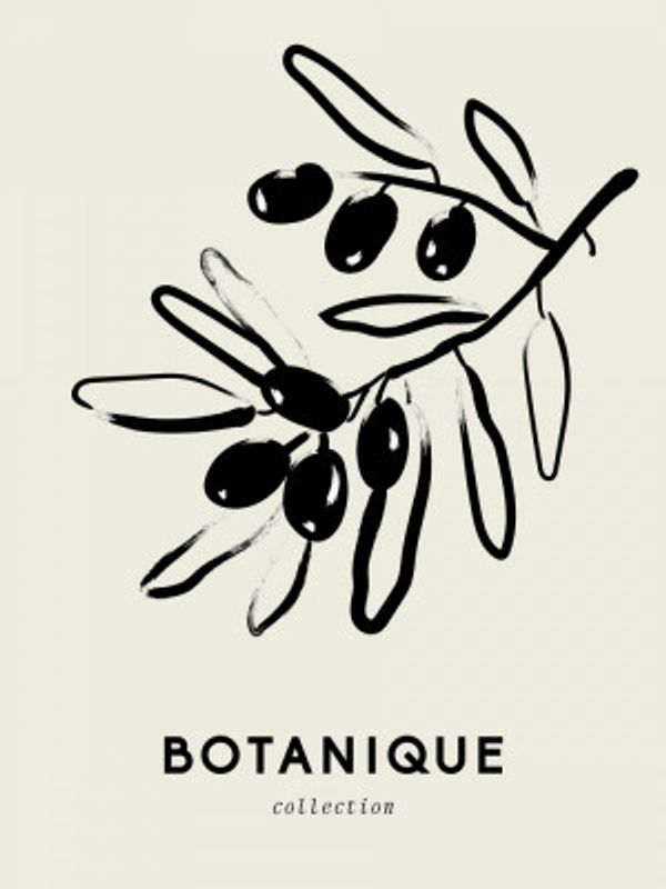 Olive Branch Elegance