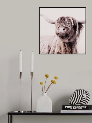 Highland Cattle Frida Creme