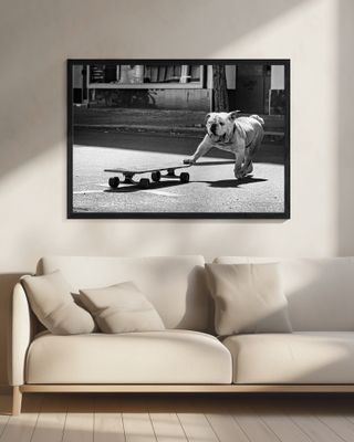 ... dogs just want to have fun ...