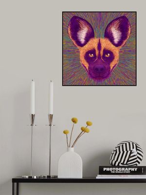 Animal Face   Wild Dog