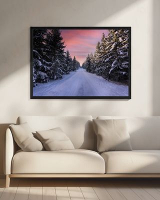 Road into the winter forest