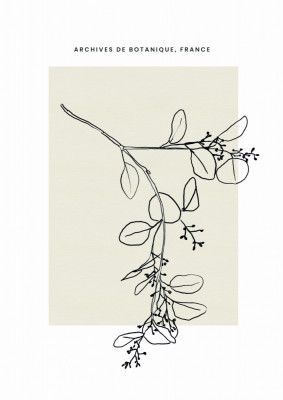 Abstractbotanicsno26