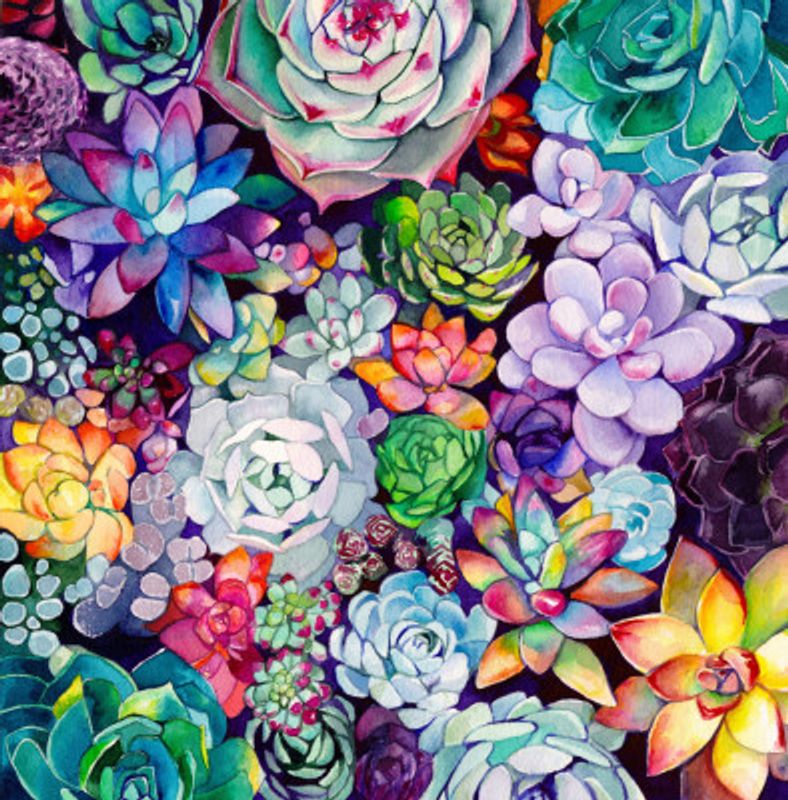 Succulent Garden 30x30