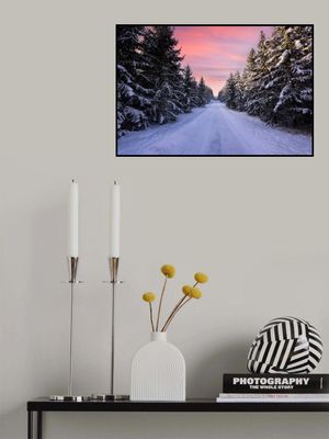 Road into the winter forest