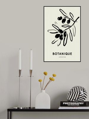 Botanique(olives)