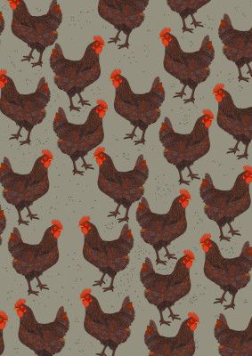 Rooster Pattern