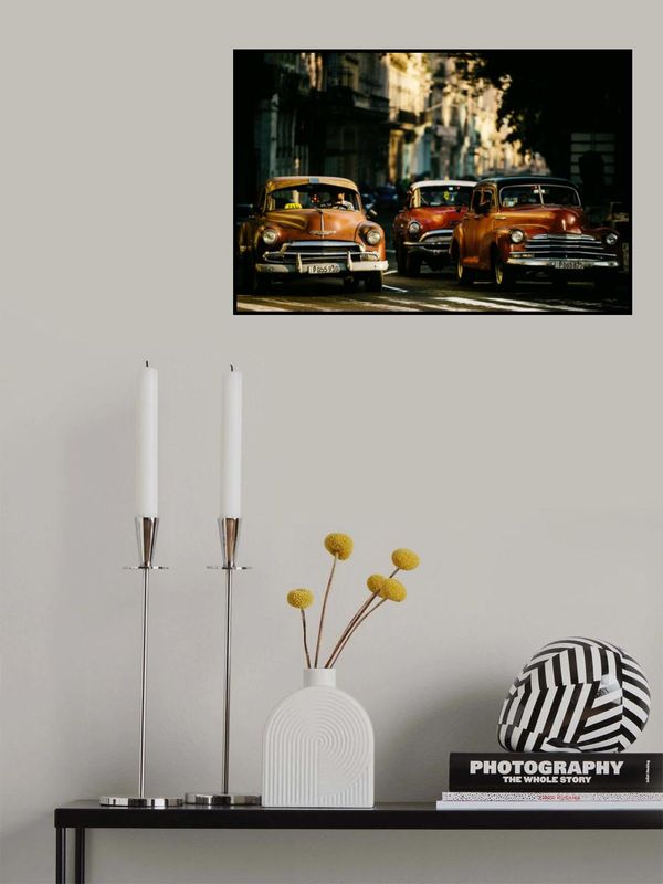 Come with me in the morning light