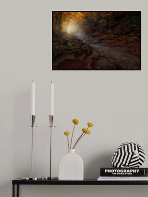 The Season of the Fall