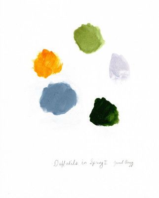 Daffodils In Spring II