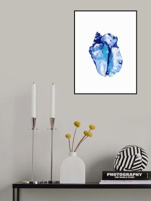 Blue Seashell On White Background No 1