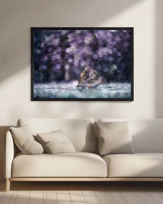 ...with a magic light...