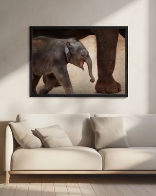 THE MAGIC OF WALKING