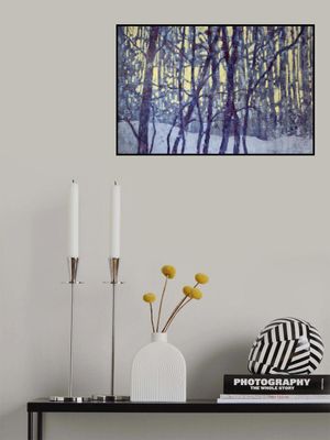 Winter's Silent Glow