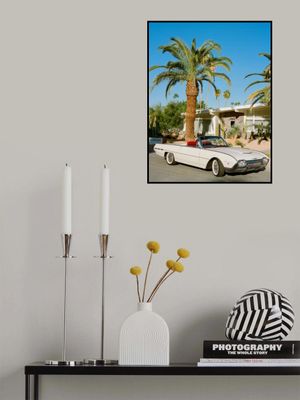 Palm Springs Thunderbird