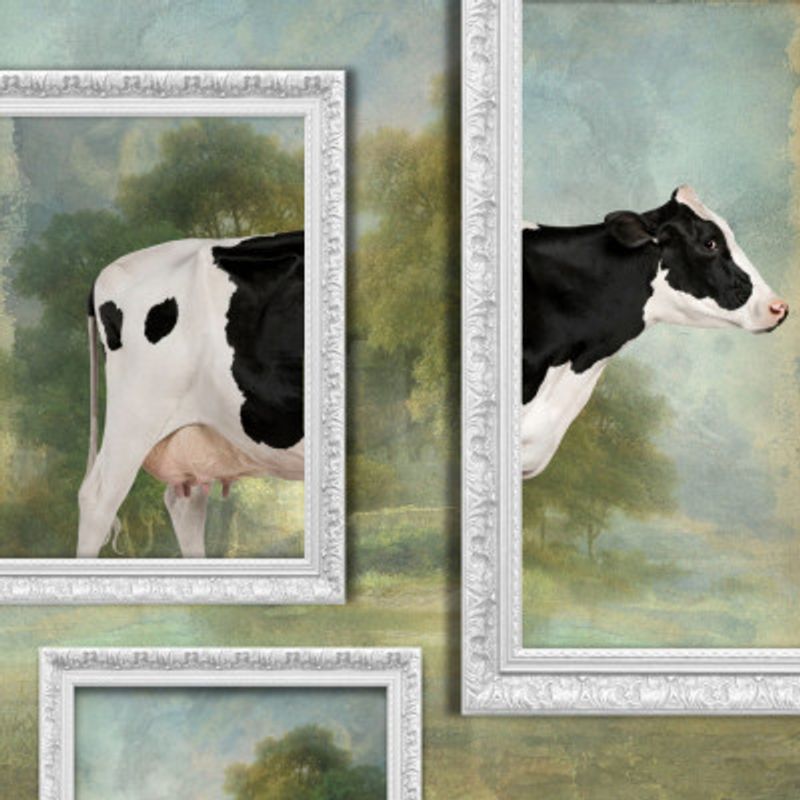 Art of Cow