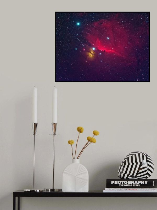 Horse head the dark Nebula