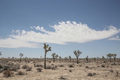 Beauty Of A Desert Landscape