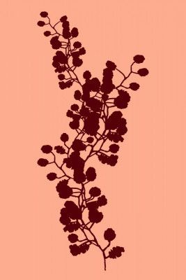 Floral Silhouette 3