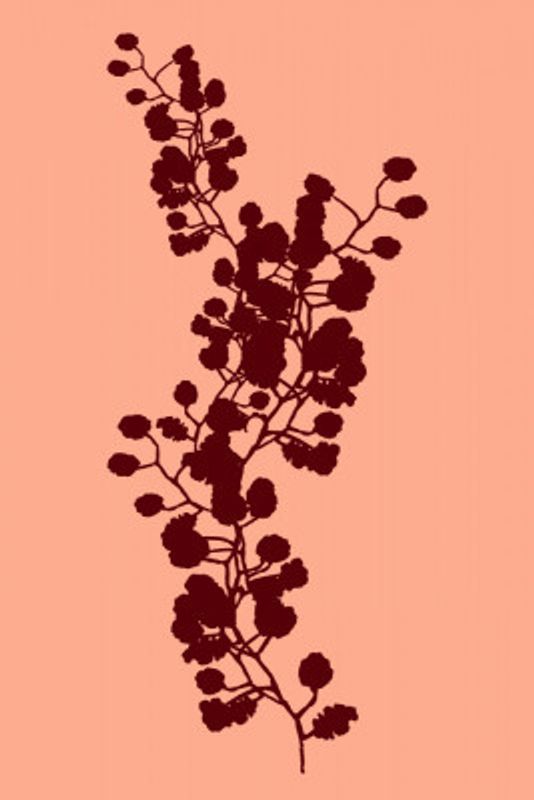 Floral Silhouette 3