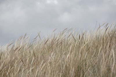 Dunes and Clouds